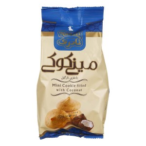 مینی کوکی نارگیل نادر